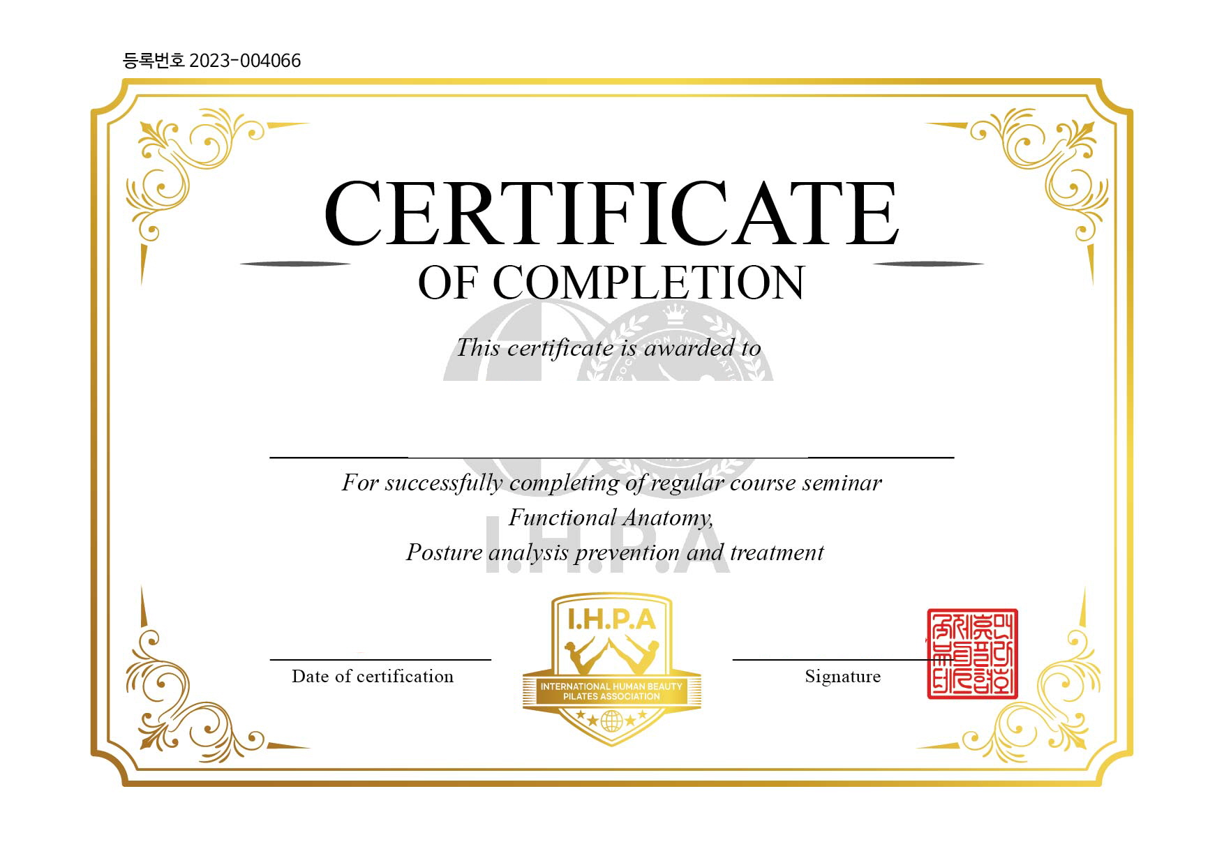 International Pilates Certificate